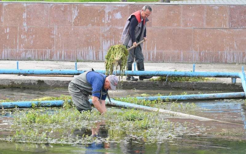 акимат города Шымкент