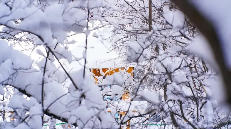 Снег выпал в некоторых районах ВКО