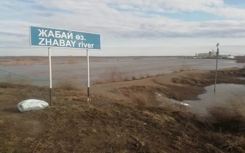 жабай