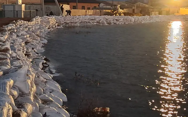 sý basqan Qulsary