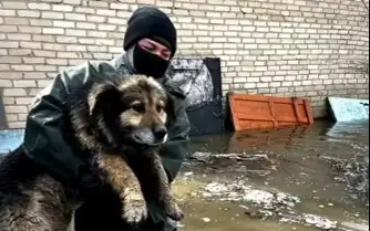 Алматинские спасатели поделились кадрами эвакуации людей и животных в Петропавловске