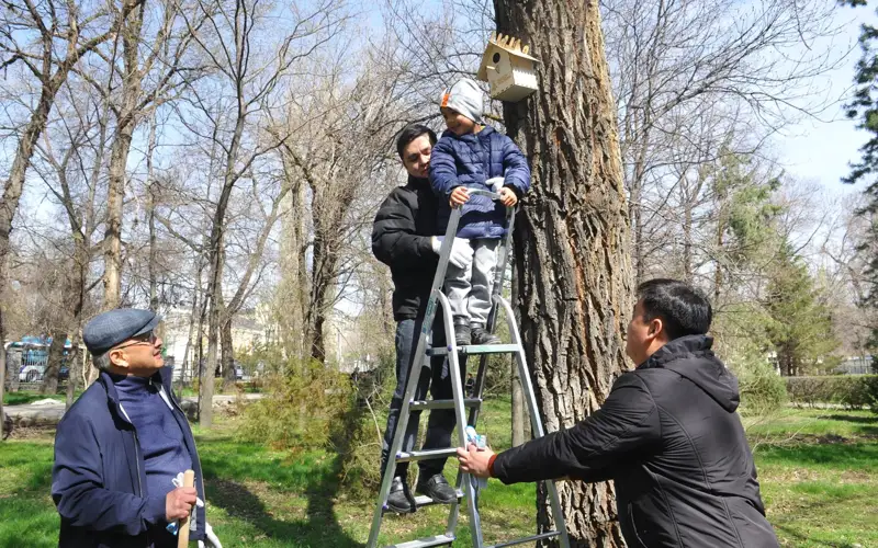ко-акция в Талдыкоргане: Строительство скворечников для сохранения природы Жетысу