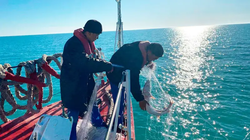 браконьеры