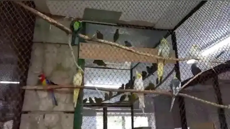 Зверей и птиц перевезли из зоосада в безопасное место в Уральске