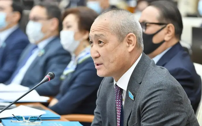 Мәжіліс депутаты