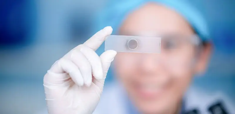 исследование