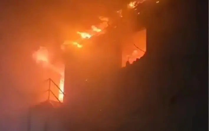 Фото: Видеодан кадр