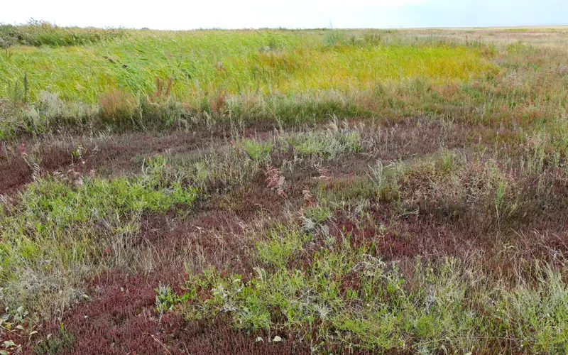 земля, земельные участки