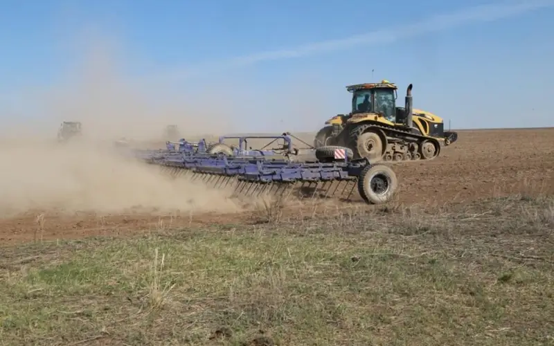 посевная, поле