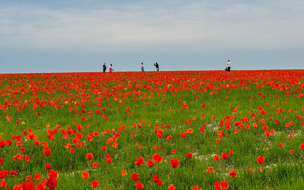 Пойыздағы қыздарға тыңшылық