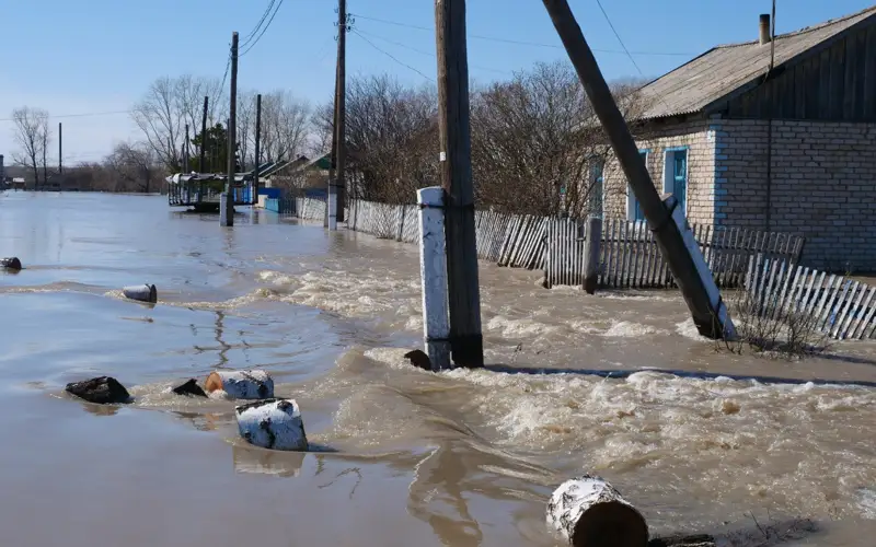 Жителей села Большая Малышка эвакуировали в СКО