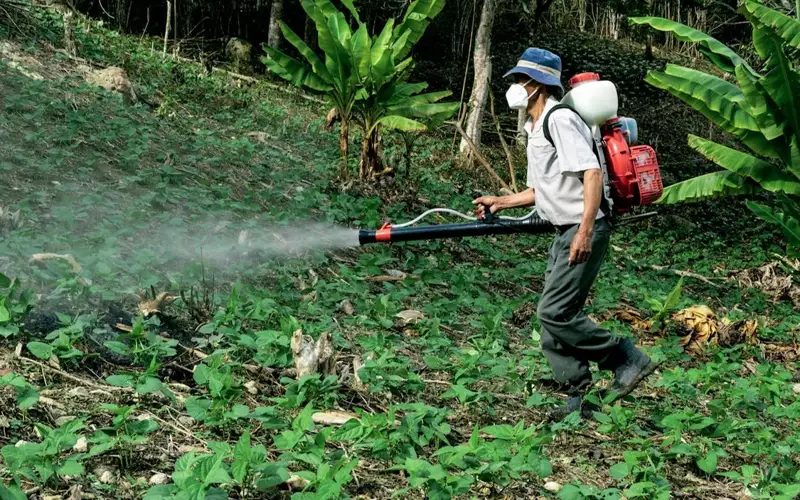 ауыл шаруашылығы