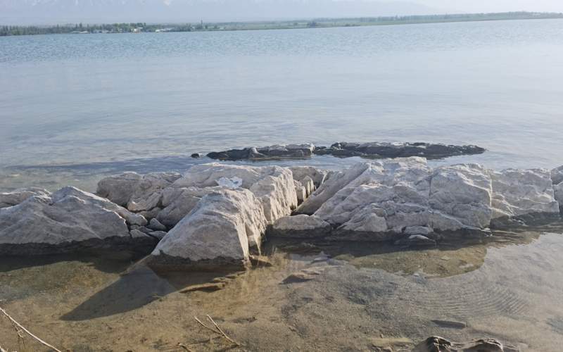 Галина Скрипник/Kazinform