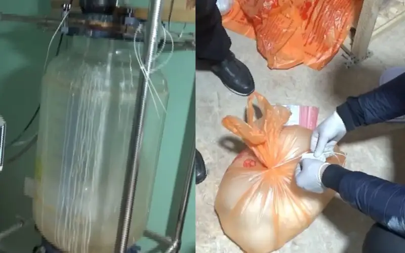 нарколаборатория