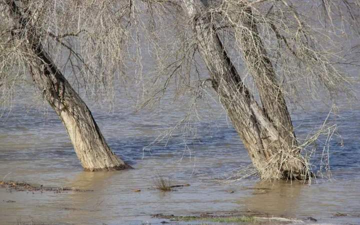floods