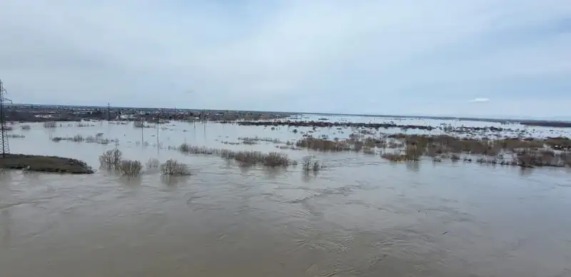 All government agencies should learn lessons from flood consequences – President