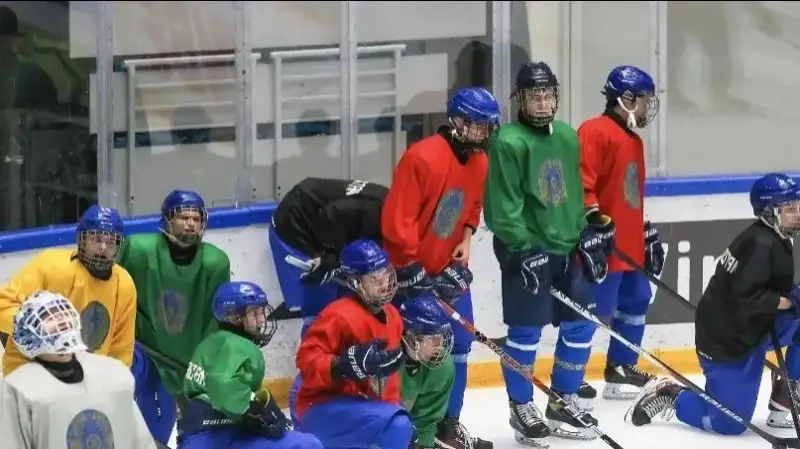 Шайбали хоккей