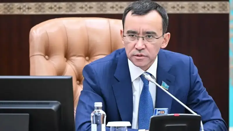 PhD қорғауға қойылатын талапты төмендетпеу керек – Мәулен Әшімбаев