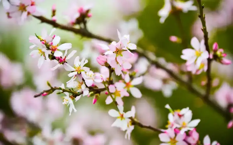 Kazakhstan to brace for fair spring weather Apr 19