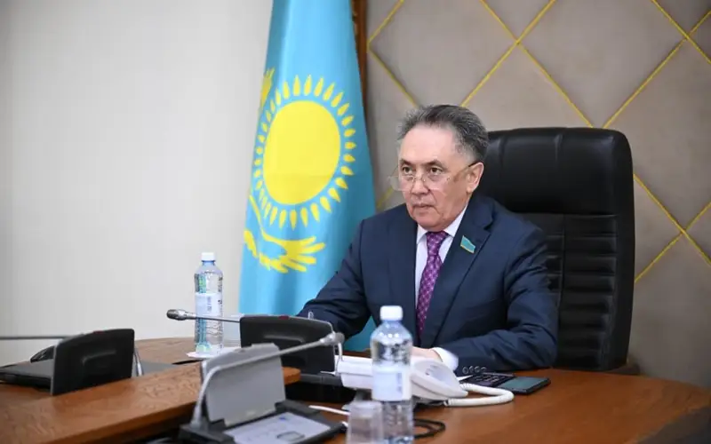 Сенаторы приняли участие в заседаниях постоянных комиссий МПА СНГ