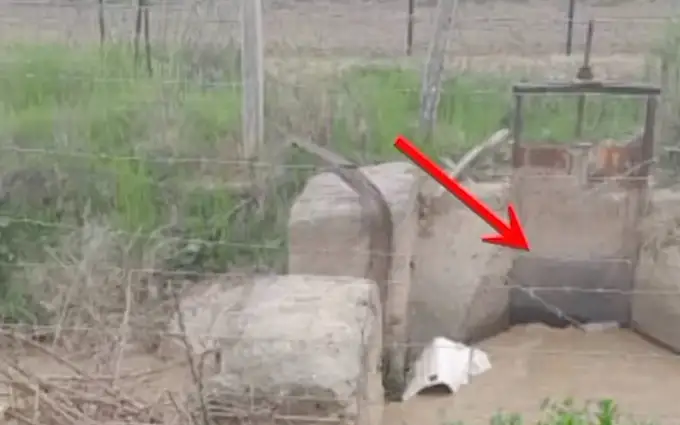 Кыргызстан, Узбекистан