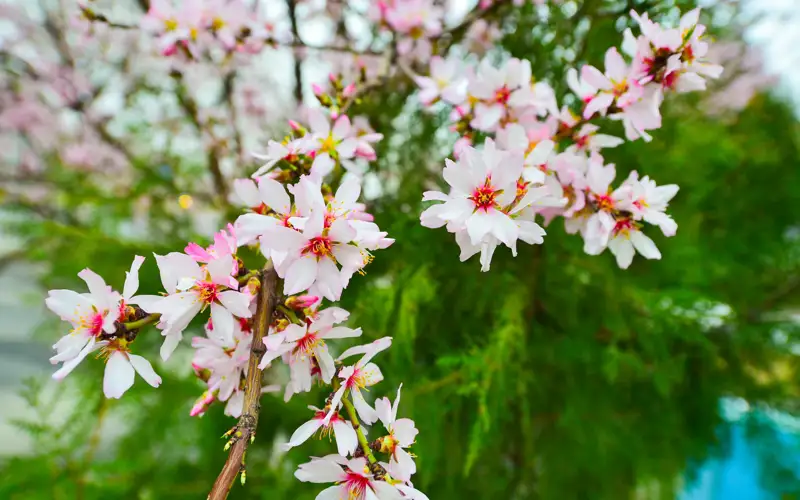 весна, май, погода