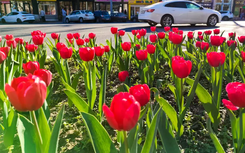 погода, весна