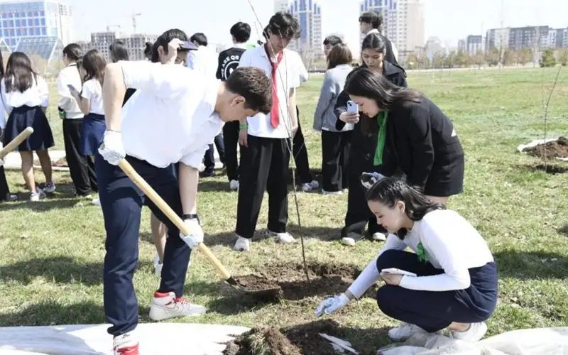 Аллея выпускников