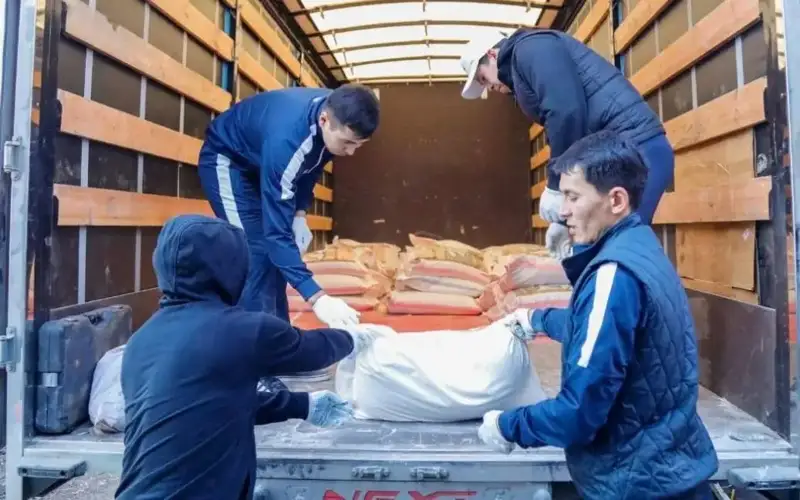 Гуманитар ёрдам