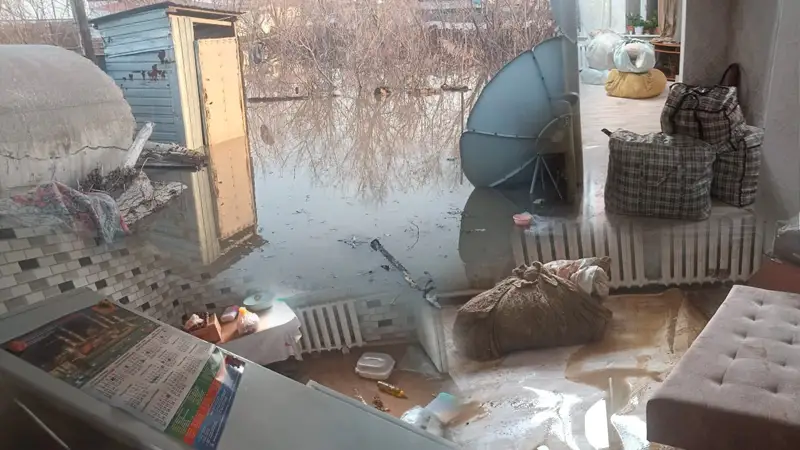 су басты 