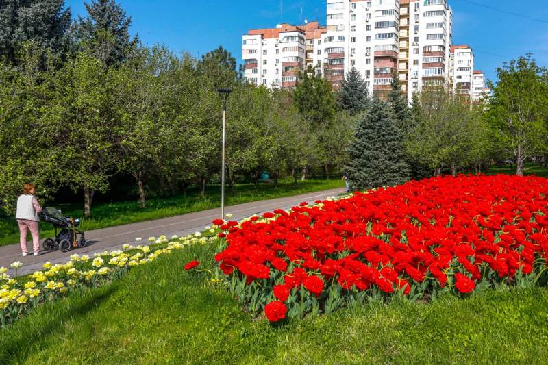 Алматы Көктем табиғат