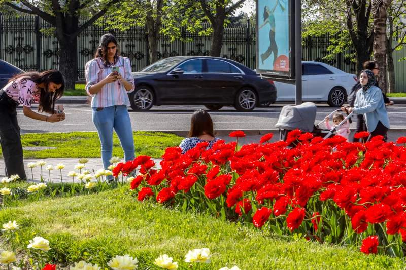 Almaty Kóktem tabıǵat