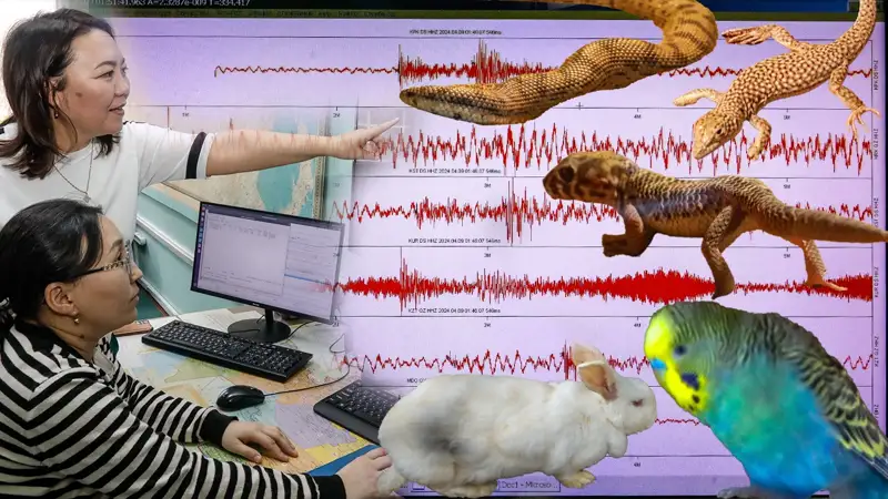 Сейсмология