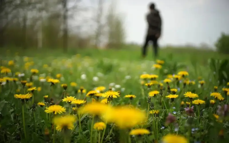 ауа райы