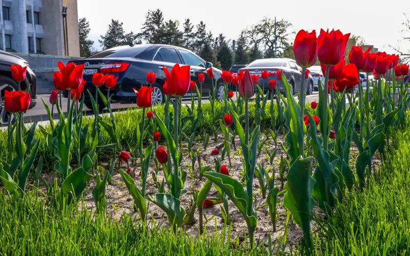 погода, весна