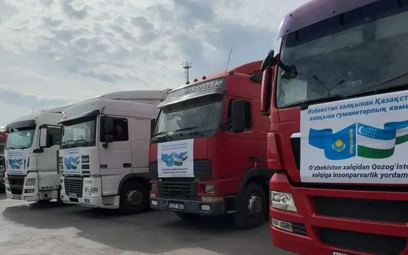 Гуманитарлық көмек