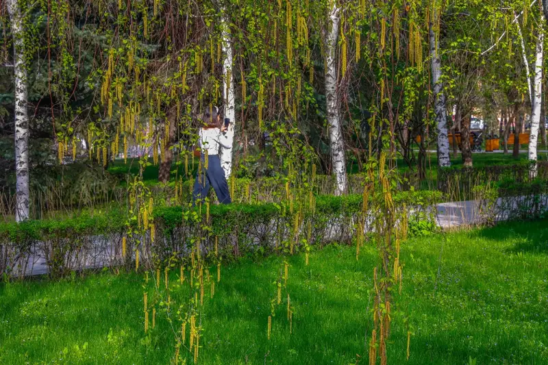 Алматы Көктем табиғат