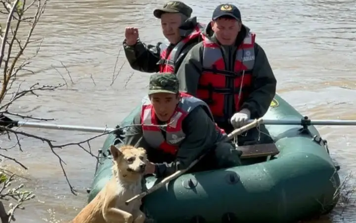 В эвакопунктах ЗКО находятся 2 300 человек