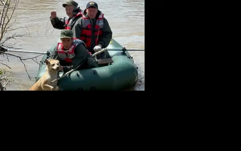 2,300 evacuated to temporary shelters due to flooding in W Kazakhstan