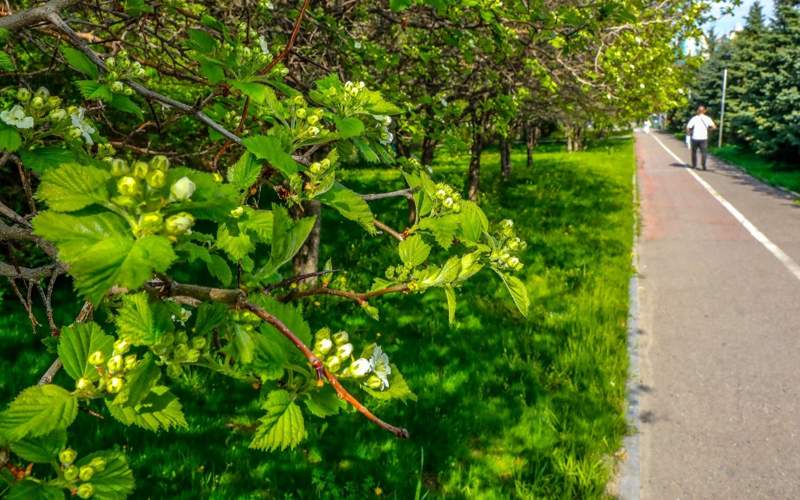 Александр Павский/Kazinform Александр Павский/Kazinform