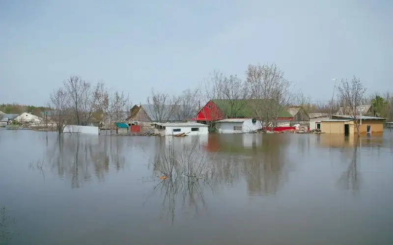 из личного архива Фирузы Шириповой