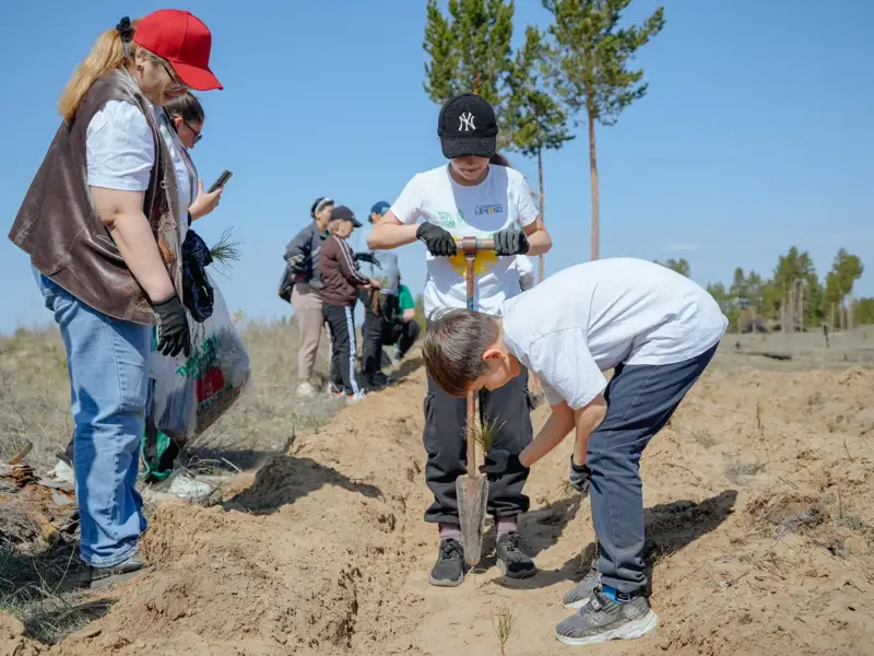 Акция «Семей орманы — жасыл аймақ» прошла в области Абай