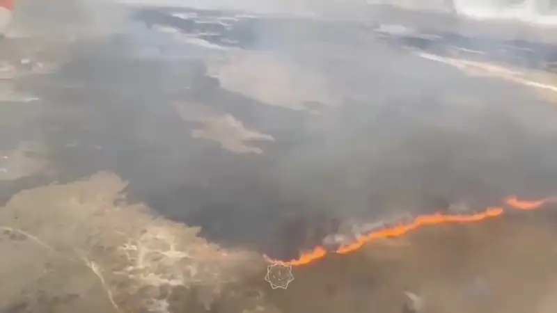 Пожар в Алматинской области угрозы населенным пунктам не несет — МЧС