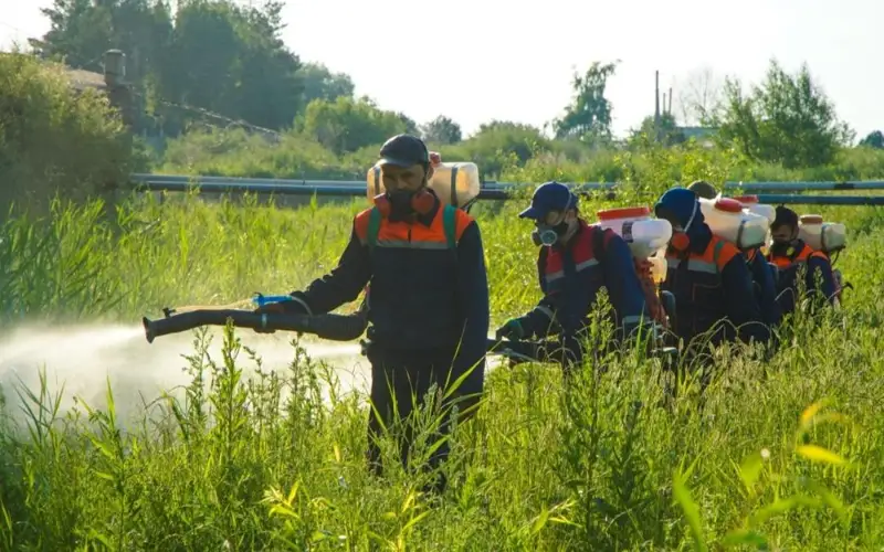 Борьбу с комарами и гнусом начали в столице