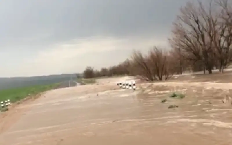 Мощный ливневый поток засняли близ водохранилища Жамбылской области