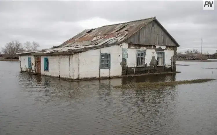 Фото: Константина Шелкова