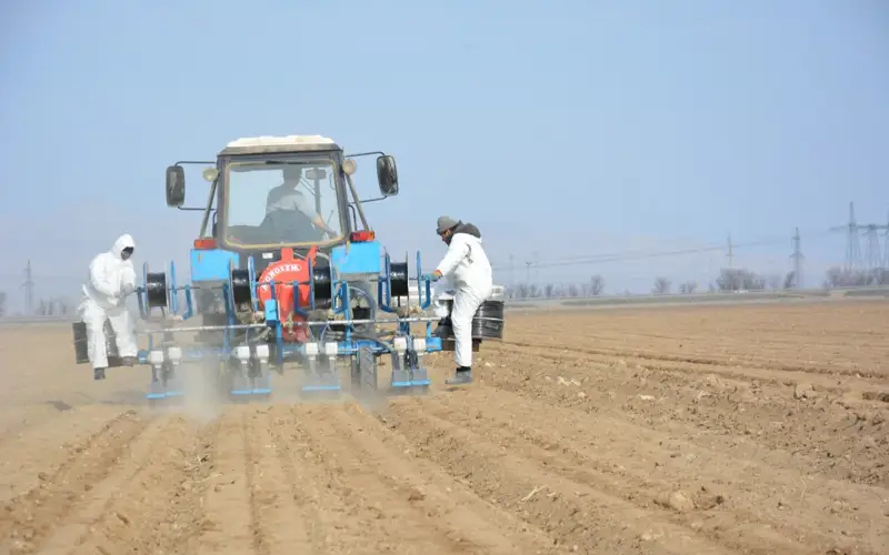 посевная кампания в Жамбылской области