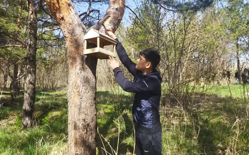 Строительный бум для пернатых в Караганде