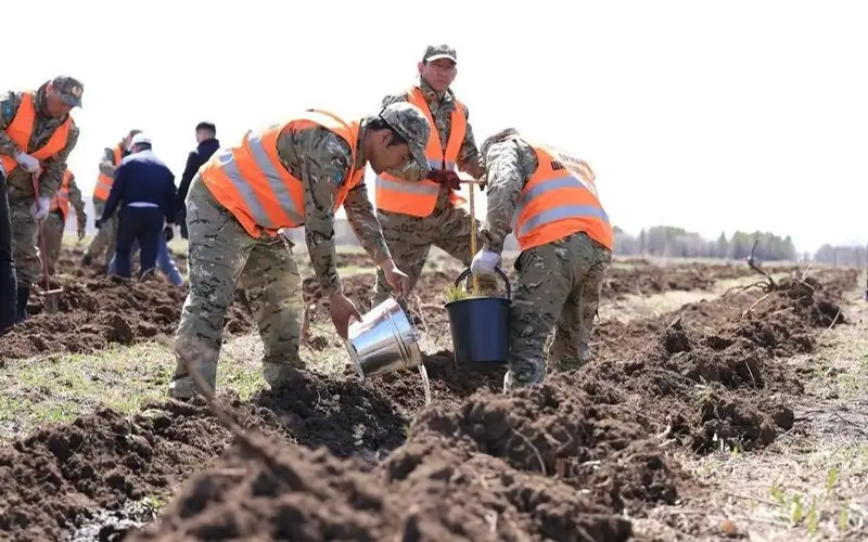 В Караганде восстанавливают выгоревший лес