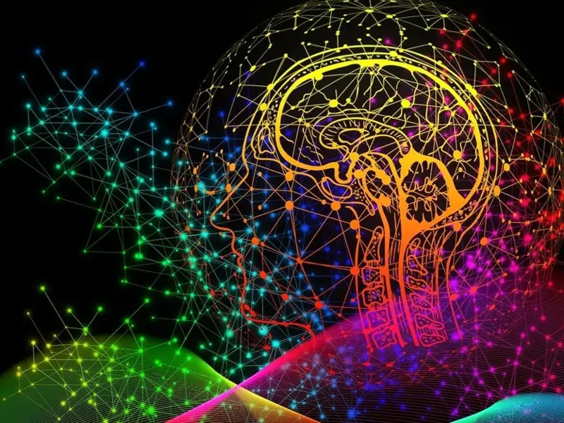 人类视觉、记忆和时间感知之间有何关联？国际最新心理学研究揭秘
